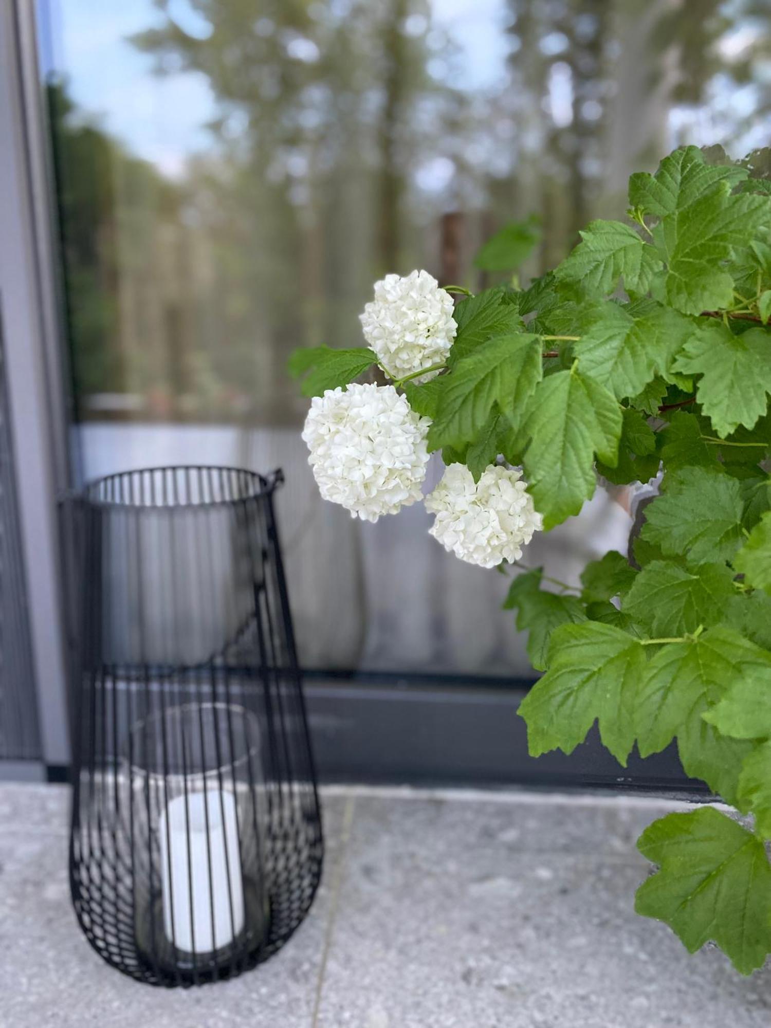 B&B Plitvice Area Natura Seliste Dreznicko Dış mekan fotoğraf